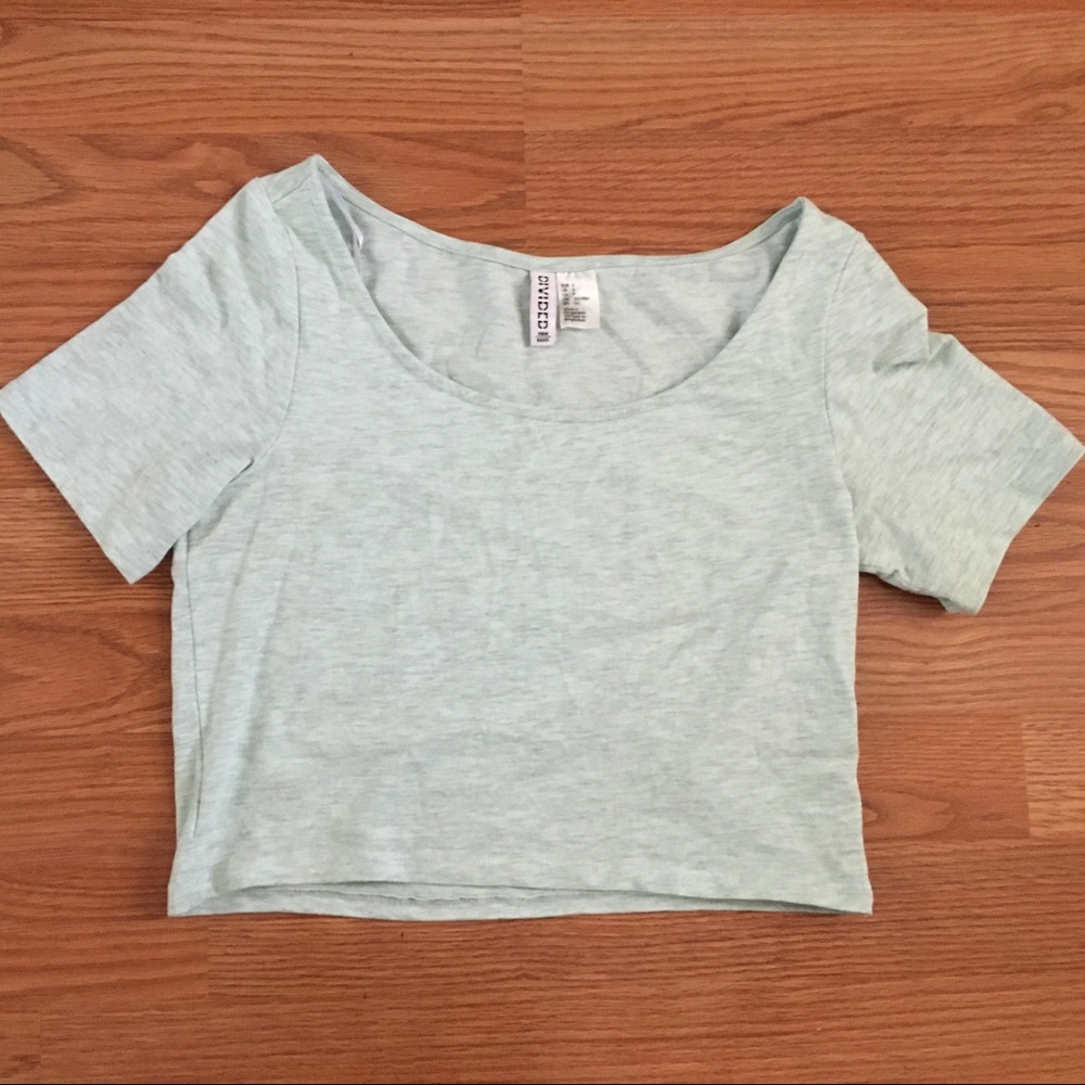 *SOLD** Divided Crop Tee